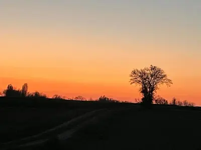 Lever ou coucher de soleil vu de la maison de vacances ou à proximité