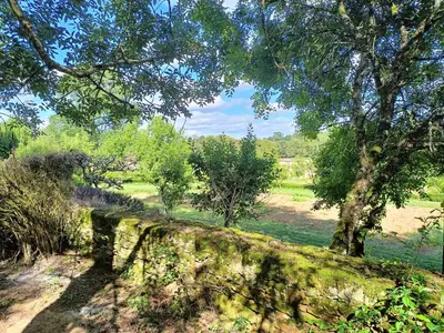 Paysage naturel près de la maison de vacances