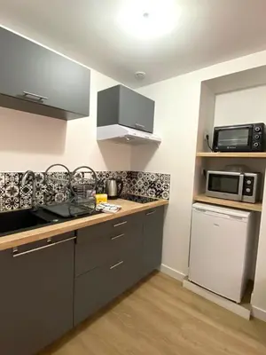 Cuisine ou kitchenette dans l'établissement Le Clain de Vivonne, cosy appartement plein centre