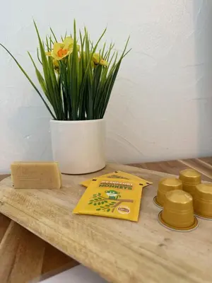 Plan de l'établissement Le Mirabelle