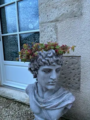 Jardin de l'établissement L'auberge'Inn