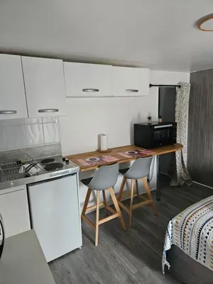 Cuisine ou kitchenette dans l'établissement Sarl la famille 3