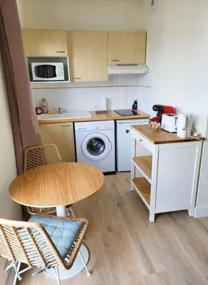 Cuisine ou kitchenette dans l'établissement Joli studio confort et lumineux