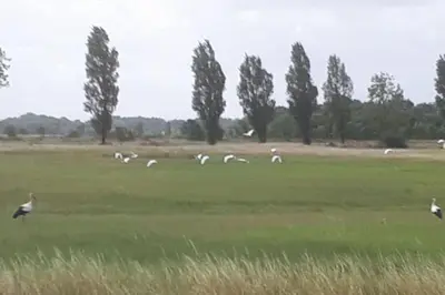 Golf sur le terrain de l'appartement ou à proximité