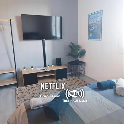 Télévision ou salle de divertissement dans l'établissement Le République Grand Studio Wi-Fi / Netflix