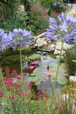 Jardin de l'établissement La Douce Charentaise