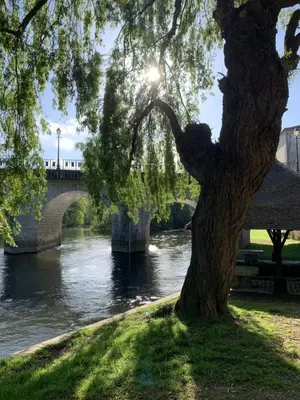 Vue sur la rivière ou le fleuve situé(e) à proximité de le B&B/chambre d'hôtes