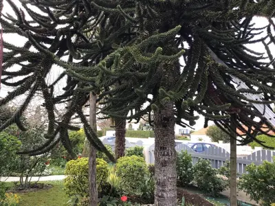 Jardin de l'établissement Super studio coup de cœur