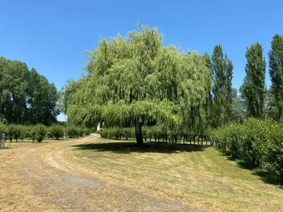 Paysage naturel près de le camping