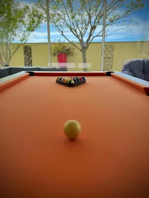 Billard dans l'établissement La Maison du Bonheur