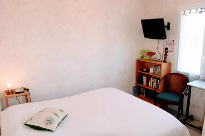 Télévision ou salle de divertissement dans l'établissement Le 16 BIS Appart Climatisé PMR