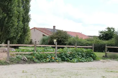 Jardin de l'établissement Domaine Dauget