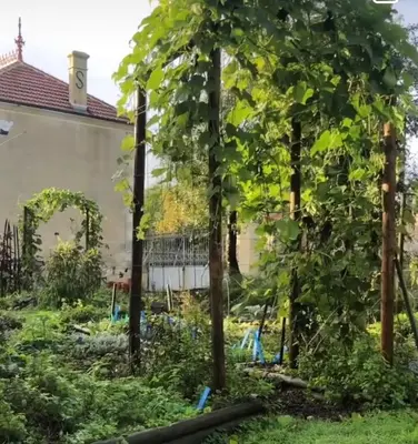 Jardin de l'établissement La Grange de la Brousse
