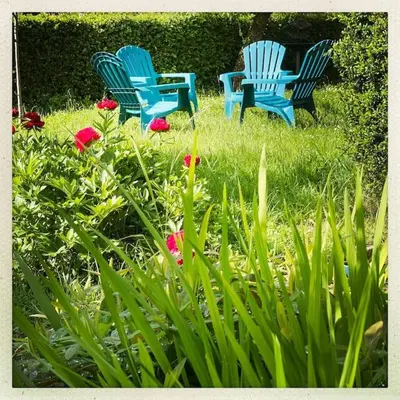 Jardin de l'établissement Le Prieuré du Vigeant