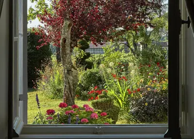 Jardin de l'établissement Domaine Maze Churchill