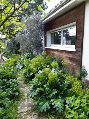 Jardin de l'établissement Verdure et calme proche ville