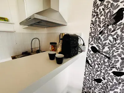 Cuisine ou kitchenette dans l'établissement Appartement Bird II proche centre gare, parking