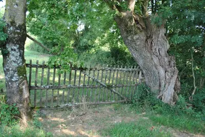 Jardin de l'établissement Une chambre au calme en Gâtine Deux-Sévrienne