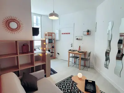 Télévision ou salle de divertissement dans l'établissement Studio hypercentre proche Vieux Marché
