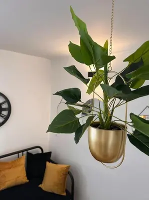 Plan de l'établissement Cosy Appart - 4 personnes
