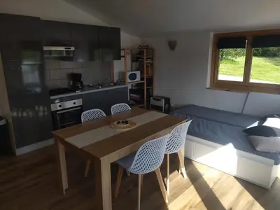 Cuisine ou kitchenette dans l'établissement Un étang idéal pour la famille