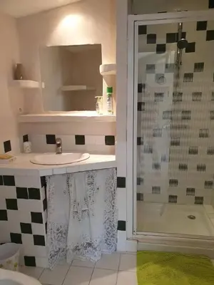 Salle de bains dans l'établissement Maison accueillante avec piscine à Meursac + Spa