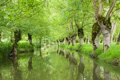 Paysage naturel près de la maison de vacances