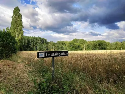 Paysage naturel près de la maison de vacances