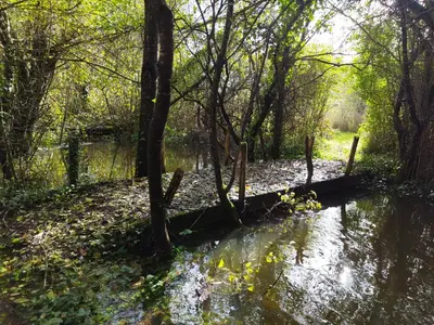Paysage naturel près de la maison de vacances