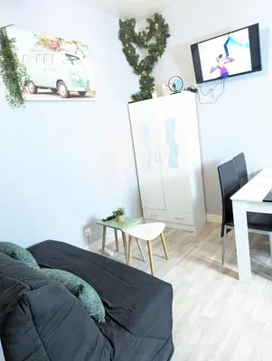 Télévision ou salle de divertissement dans l'établissement Grands Studios Maillochon accès Gare de Poitiers et Centre ville à Pieds