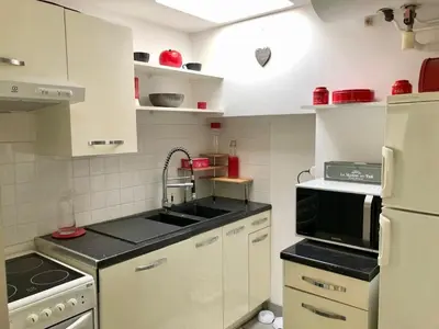 Cuisine ou kitchenette dans l'établissement Charmante Maison Fourasine Centre-ville Jardin