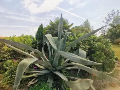 Jardin de l'établissement Gîte Natura Bella