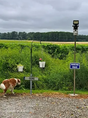 Plan de l'établissement La Métairie au milieu des vignes