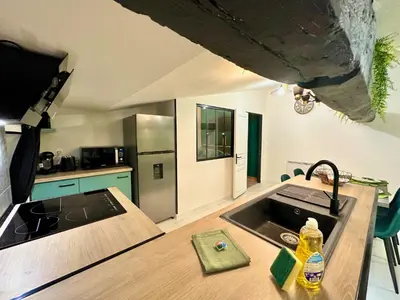 Cuisine ou kitchenette dans l'établissement l'Atypique Jungle - Hyper Centre - Refait à neuf