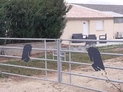 Animaux dans la maison de vacances ou à proximité