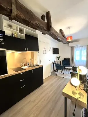 Cuisine ou kitchenette dans l'établissement G5 Appartement Climatisé Centre Angouleme