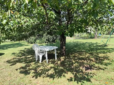 Jardin de l'établissement Jolie chambre indépendante avec salle d'eau privée