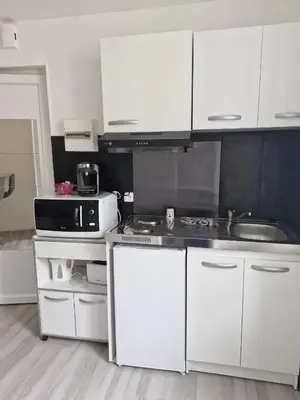 Cuisine ou kitchenette dans l'établissement La famille