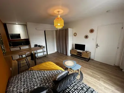 Télévision ou salle de divertissement dans l'établissement Le Petit phucket - centre ville - wifi
