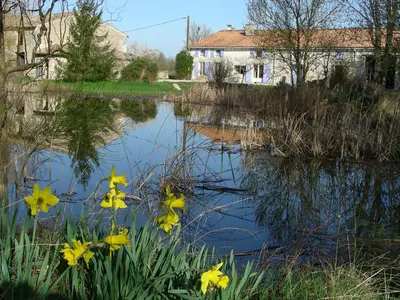Paysage naturel près de le B&B/chambre d'hôtes