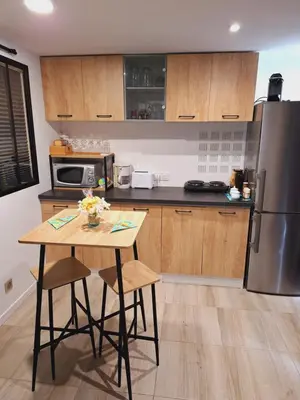 Cuisine ou kitchenette dans l'établissement Joli studio 25m2 avec cuisine