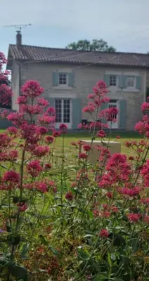 Jardin de l'établissement Gite Mani et Princesse à partir de 2 à 6 personnes