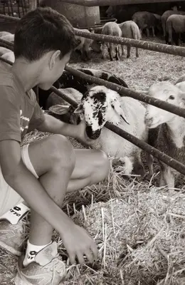 Plan de l'établissement chambre d'hôte dans un havre de paix à la ferme