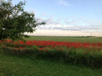 Paysage naturel près de l'appartement