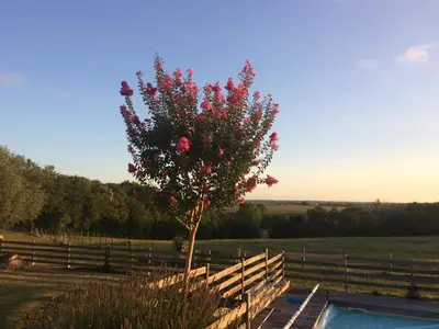 Piscine de l'établissement Chambre Taru ou située à proximité