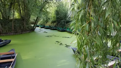 Vue sur la rivière ou le fleuve situé(e) à proximité de le séjour chez l'habitant