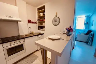 Cuisine ou kitchenette dans l'établissement Bright duplex 50m from the port of La Rochelle
