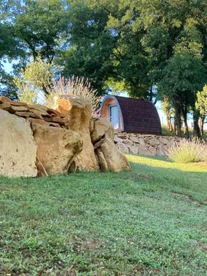 Jardin de l'établissement POD Nature 2