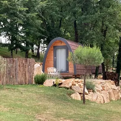 POD Nature 2