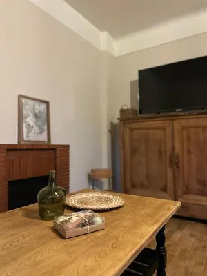 Télévision ou salle de divertissement dans l'établissement La Pictave, maison poitevine à 5 mn du Futuroscope